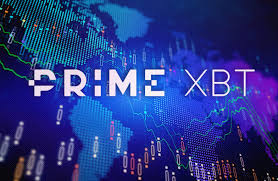 Understanding PrimeXBT Live Trading